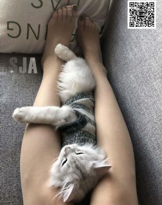 暖暖视频日本_BD国语最新电影在线观看